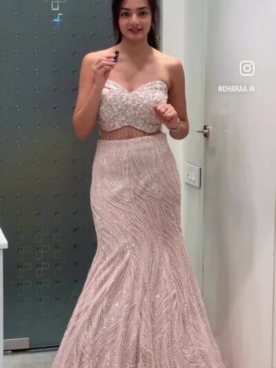 Blush Embellished Gown Set
