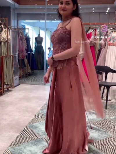 Embellished Chiffon Saree Gown